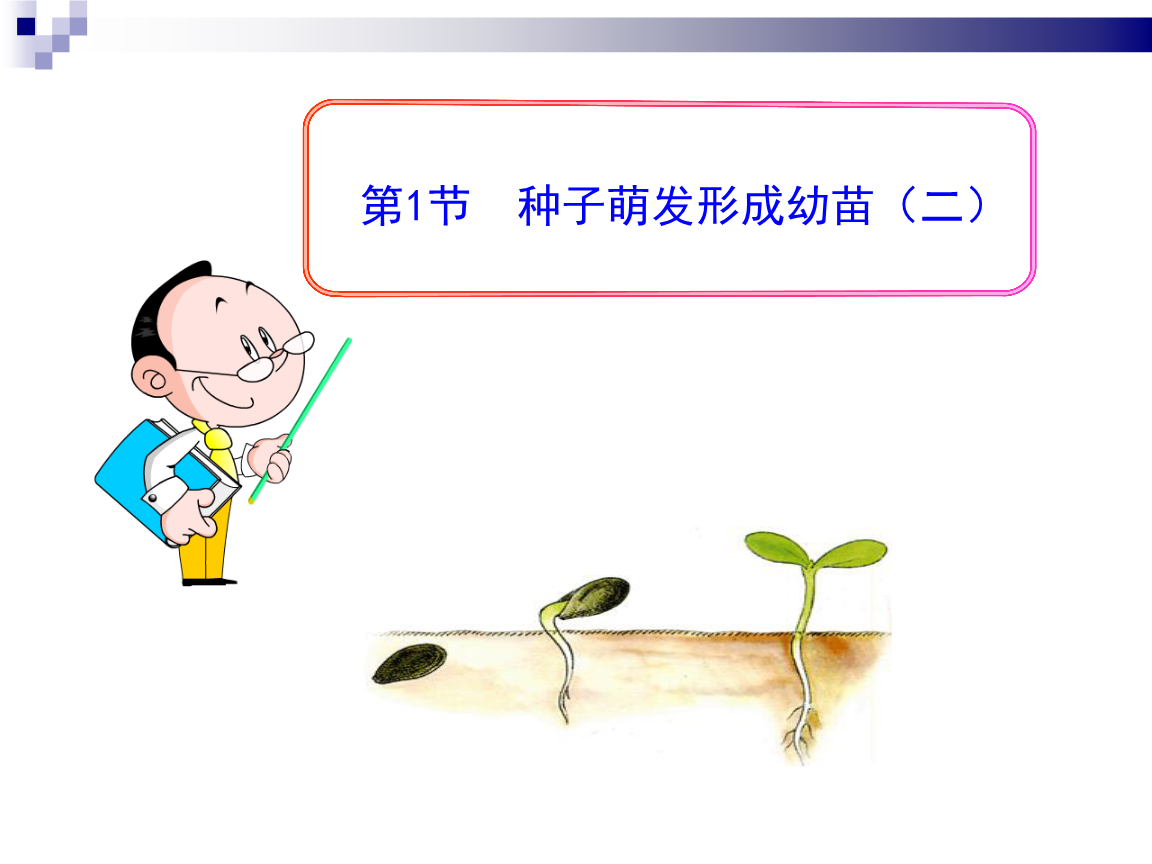 号百彩票