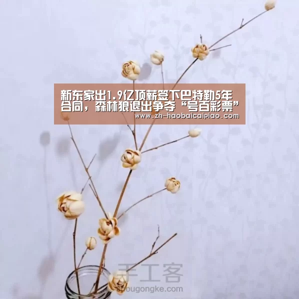 号百彩票